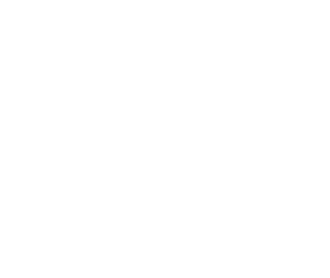 Logo Vision 7 Group (blanc)